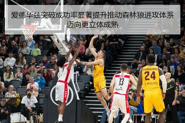 爱德华兹突破成功率显著提升推动森林狼进攻体系迈向更立体成熟